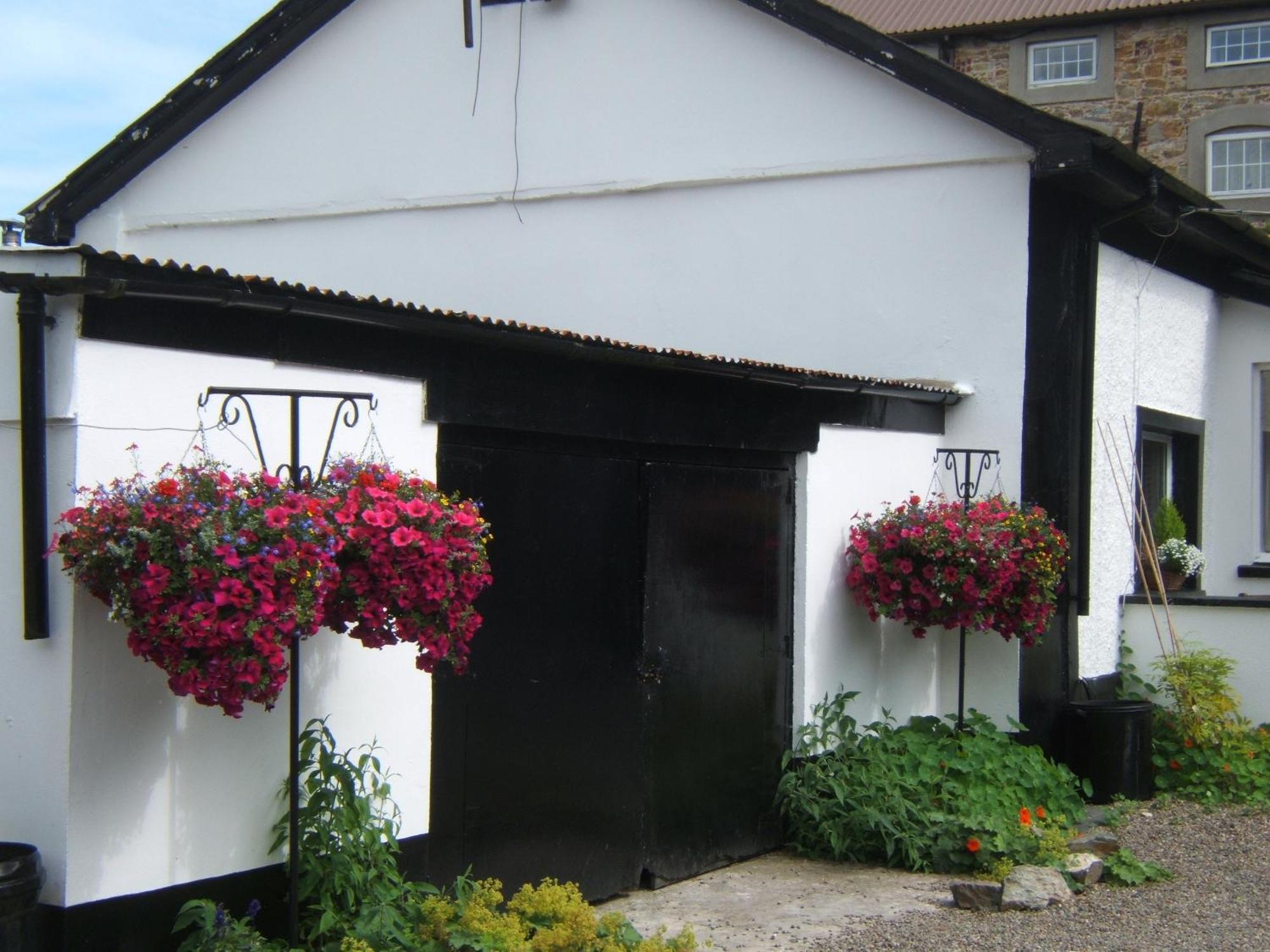 Faythe Guesthouse 웩스퍼드 외부 사진